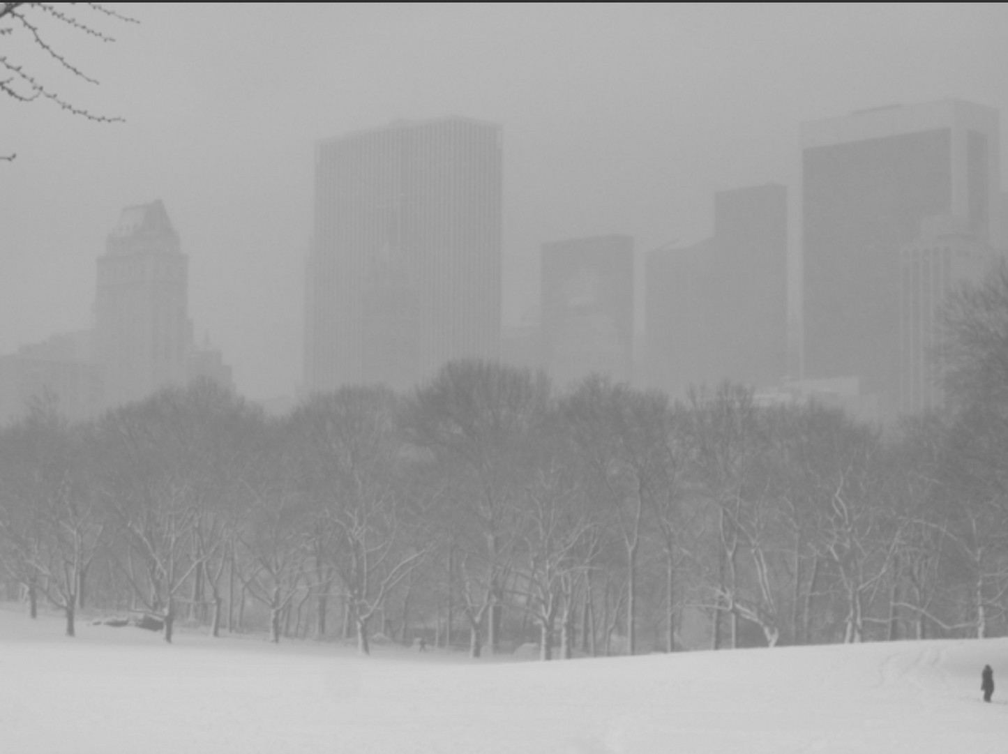 CENTRAL PARK LOVE