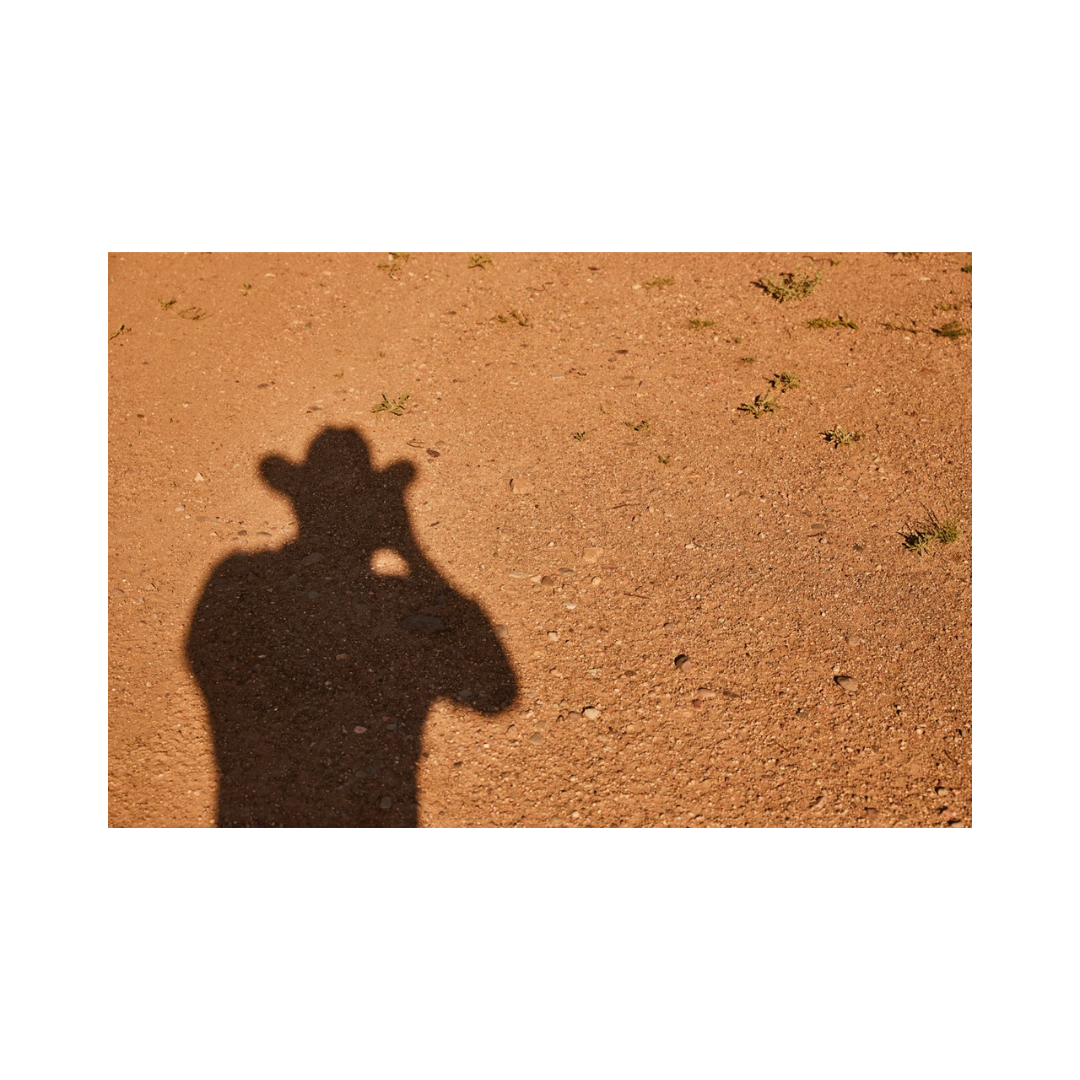 THE OUTLAW'S TRACE