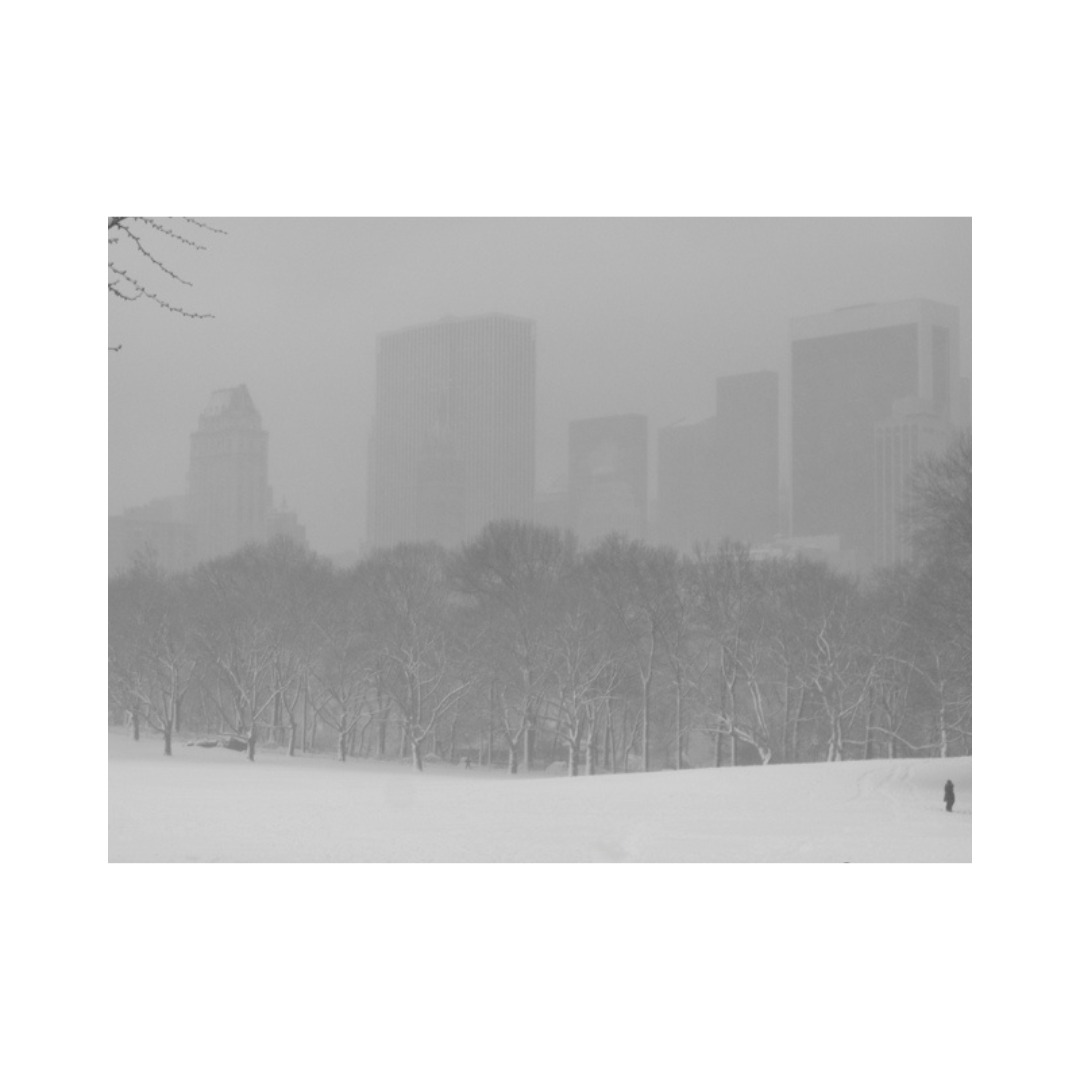 CENTRAL PARK LOVE