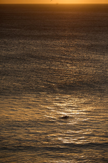 ALONE IN GOLD