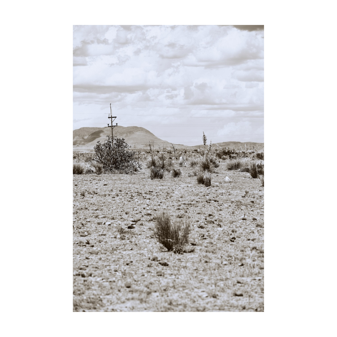 DESSERT PULSE
