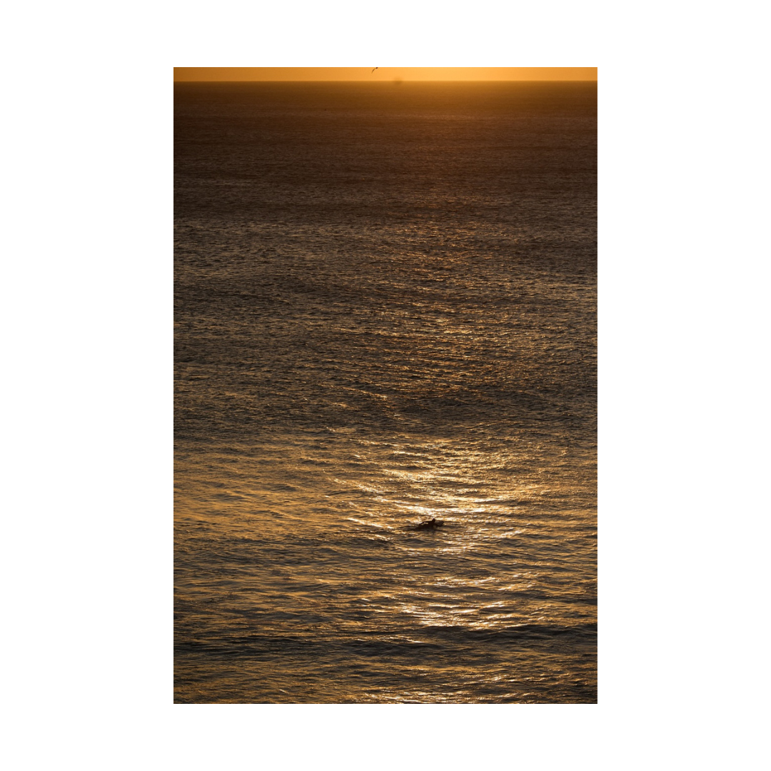 ALONE IN GOLD
