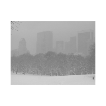 CENTRAL PARK LOVE