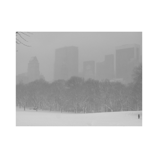 CENTRAL PARK LOVE